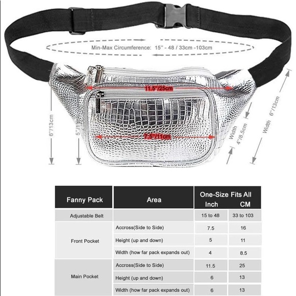 Sojourner Bags Silver Fanny Pack - Picture 9 of 12